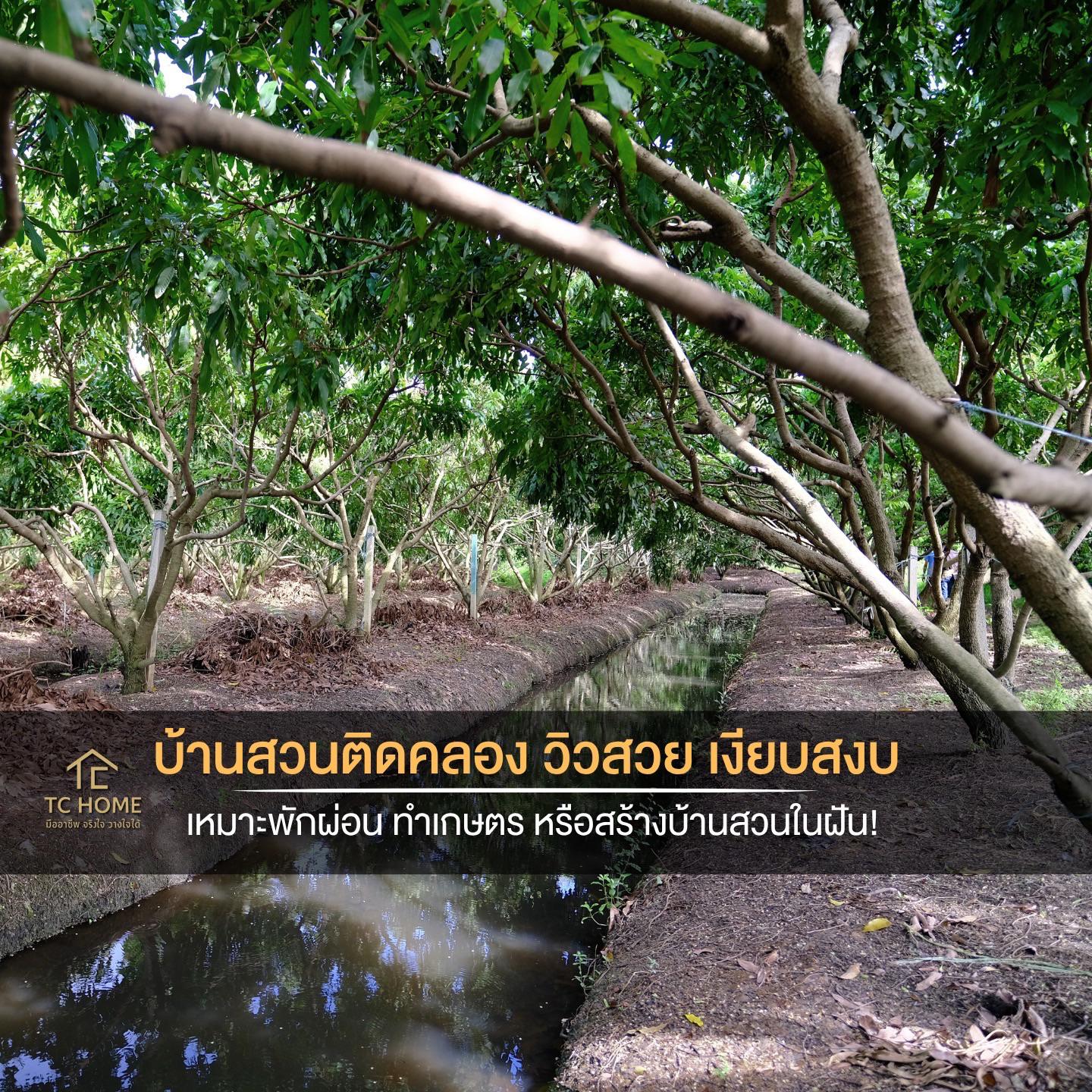 รูปที่ 3