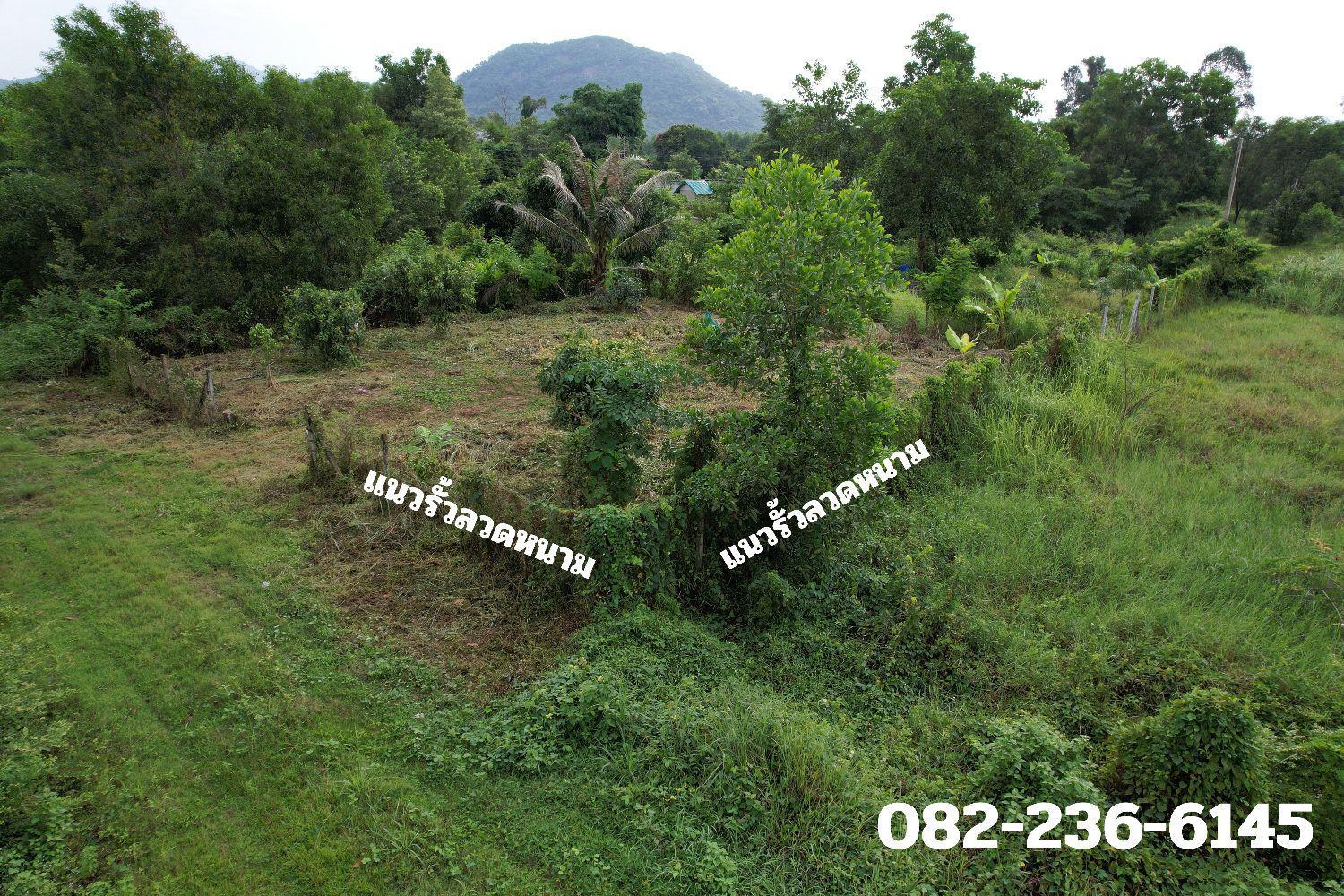 รูปที่ 3