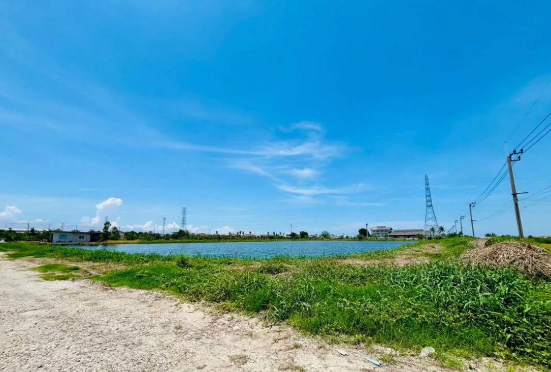 ขายที่ดินบ่อปลา บางเสาธง บางพลีใหม่ สมุทรปราการ พื้นที่ 14 ไร่ 94 ตรว