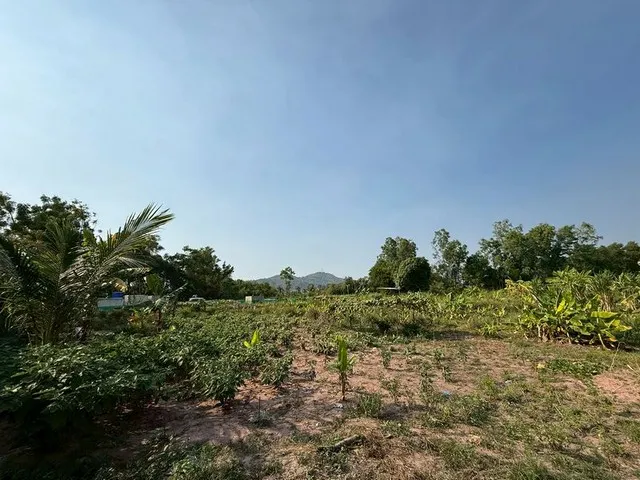 ขายที่ดินศรีราชา นาพร้าว แปลงสวย ซอยลุงเทิ้ม ใกล้แหล่งชุมชน FP-L02437 
