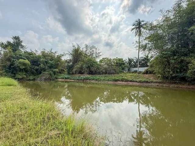 ขายที่ดินบ้านโค้งดารา หนองขาม ศรีราชา แปลงสวย ติดลำธารธรรมชาติ FP-L02443 