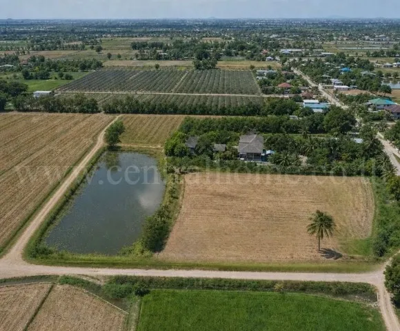 ขายด่วน ราคาพิเศษ ด่วน ที่ดิน 9-3-99.5 ไร่ ดอนโพธิ์ - สุพรรณบุรี ทำเลดี