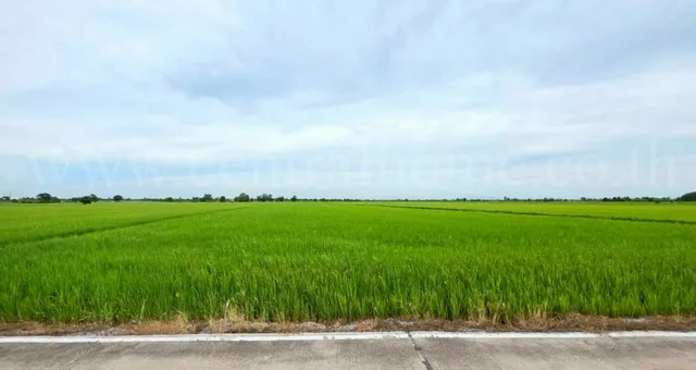ที่ดินเปล่า สีม่วง 6-1-89 ไร่ คลองนิยมยาตรา บางบ่อ สมุทรปราการ ทำเลดี