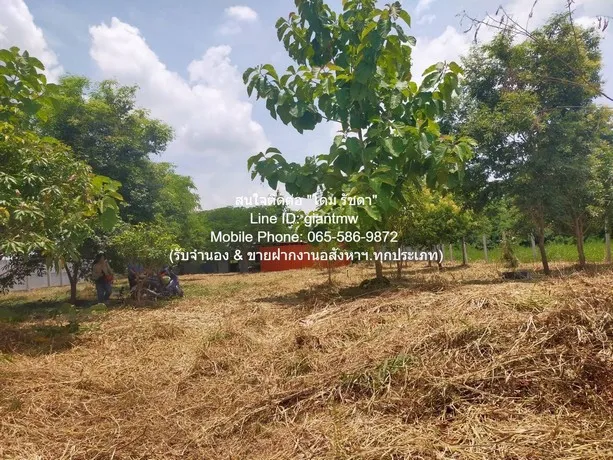 DSL-709 ขาย ที่ดิน ขายที่ดินเปล่า 1-0-14.5 ไร่ (414.5 ตร.ว.) ซ.สุวินทวงศ์ ใกล้สนามกอล์ฟฟินิกซ์ โกลด์ กอล์ฟ แบงค็อก กรุงเทพ หนองจอก   