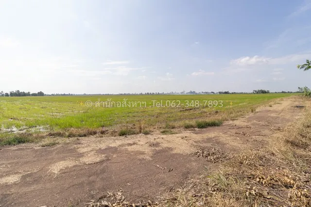 ขายที่ดินเปล่า (ปัจจุบันเป็นที่นา) เนื้อที่ 20 ไร่ ทรงสวยสี่เหลี่ยม ต.วังพัฒนา อ.บางซ้าย จ.พระนครศรีอยุธยา