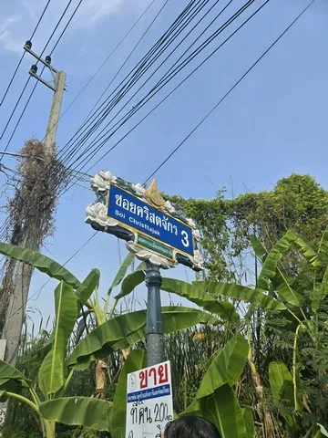 ขาย ที่ดิน - ปทุมธานี    ใกล้กับ โรงเรียนปทุมวิไล ศาลากลางปทุมธานี โลตัสปทุมธานี โรงพยาบาลปทุมธานี อยู่ย่านใจกลางเมืองปทุม เขตชุมชน 200
