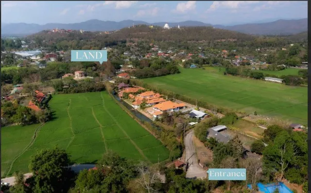 ราคาลดพิเศษ 8.9 ล้านบาท ขายที่ดินทำเลสงบ #ดอยสะเก็ด–#เชิงดอย ที่ดินแปลงสวย มีต้นฉำฉาใหญ่ บรรยากาศร่มรื่น #ใกล้วัดพระธาตุดอยสะเก็ด