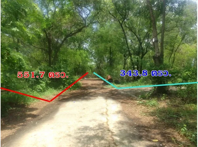 1 ขาย ที่ดิน ที่ดินใกล้ชุมชน รามดินทรา มีนบุรี กรุงเทพ 10314000 บาท