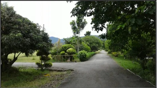 ขายที่ดิน115ไร่ ลดพิเศษ 55ล. ผ่อนได้ ฟรีโอน บ้านยุโรป3หลัง สาธารณูปโภค เหมาะทำรีสอร์ท คาเฟ่ ที่เที่ยว เกษตร ใกล้เทศบาล ต.ทากาศ อ.แม่ทา ลำพูน