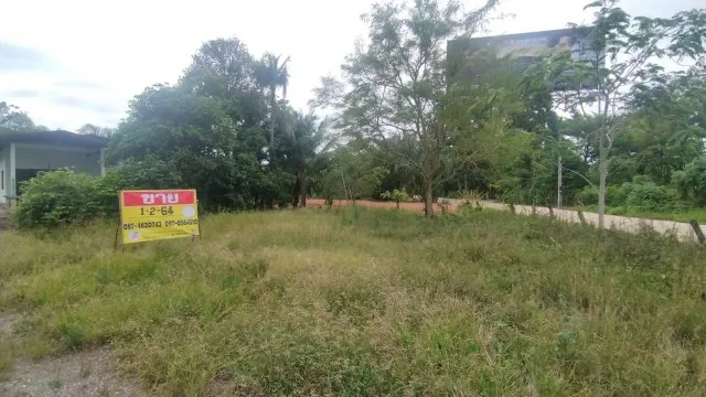 ขายที่ดิน 1-2-64 ไร่ พร้อมบ้าน  ใกล้ท่าอากาศยานนานาชาติสุราษฎร์ธานี