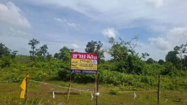 ขายที่ดิน 17-0-40 ไร่   ใกล้ถ.มิตรภาพ  283 เมตร เชียงหวาง  อำเภอเพ็ญ   จ.อุดรธานี