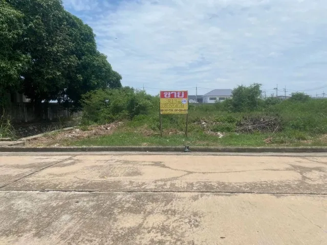 ขายที่ดิน 313.3 ตร.วา.หมู่บ้านมหาชัยเมืองทอง  ถ.สหกรณ์ บางหญ้าแพรก  เมืองสมุทรสาคร