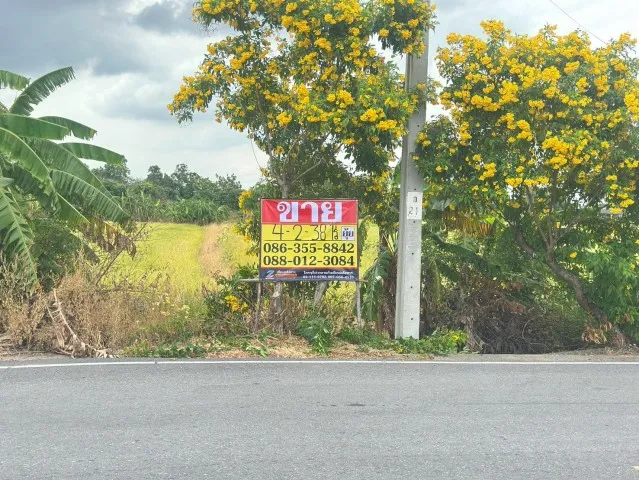 ขายที่ดิน 4-2-38 ไร่  ตรงข้าม กศน. ตำบลคลองข่อย นนทบุรี  ถนน 345-ราชพฤกษ์ ปากเกร็ด